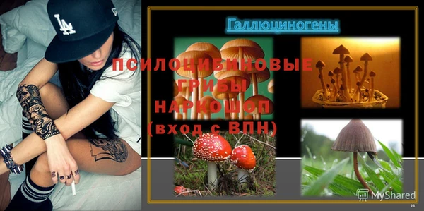 амф Белоозёрский