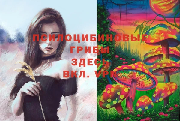амф Белоозёрский