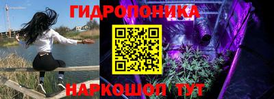 хмурый Кинель