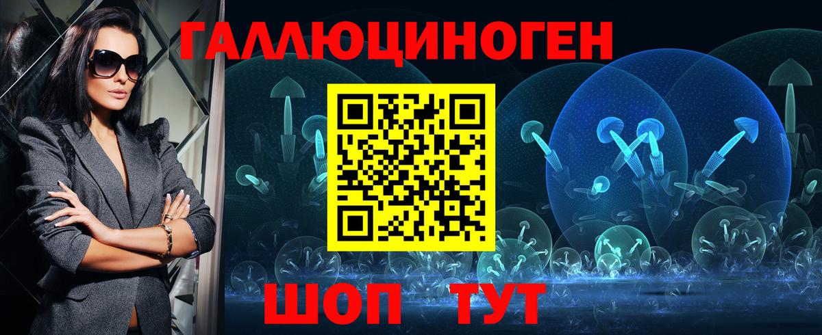 Псилоцибиновые грибы Psilocybine cubensis  Дагестанские Огни  Псилоцибиновые грибы Magic Shrooms 