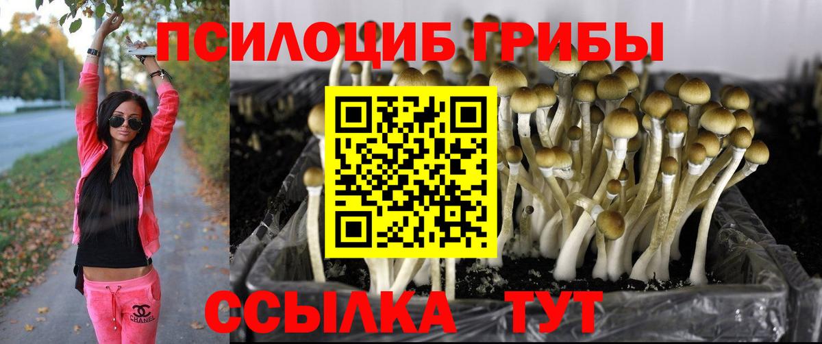 Галлюциногенные грибы MAGIC MUSHROOMS Дагестанские Огни