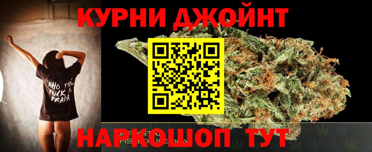 Каннабис план Дагестанские Огни